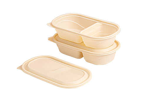 Rectangle Disposable Biodegradable Plastic Food Container With Lid