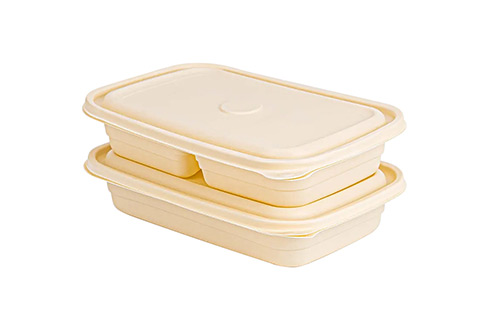 Biodegradable Plastic Take Away Food Container With Lid