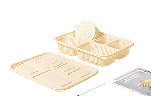 5 Compartment Disposable Biodegradable Plastic Food Container With Lid