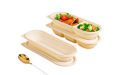 Biodegradable Disposable Plastic Take Away Food Containers With Lids