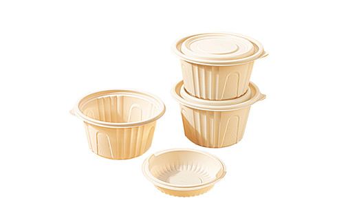 Round Biodegradable Disposable Plastic Take Away Food Container With Lid