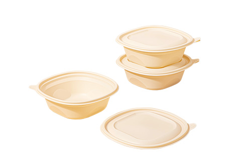 Biodegradable Disposable Plastic Take Away Food Containers With Lids