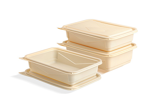 Rectangle Biodegradable Plastic Take Away Food Container With Lid