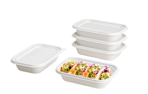 High Quality Rectangle 100% boidegradable Plastic Take Away Food Container With Lid