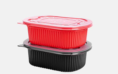 Rectangle Disposable Plastic Take Away Food Containers With Lids