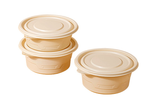 Rectangle Biodegradable Disposable Plastic Take Away Food Containers With Lids