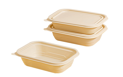  Rectangle Biodegradable Plastic Take Away Food Container With Lid