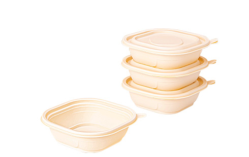 Biodegradable Disposable Plastic Take Away Food Containers With Lids