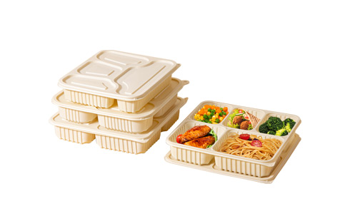 Rectangle Biodegradable Plastic Take Away Food Container With Lid