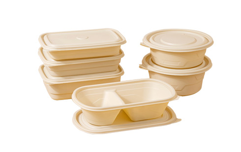 Hot Selling Disposable Biodegradable Plastic Food Container With Lid