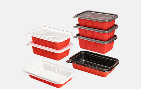 Rectangle Disposable Plastic Take Away Food Containers With Lids