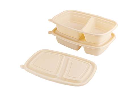 Rectangle Disposable Biodegradable Plastic Food Container With Lid