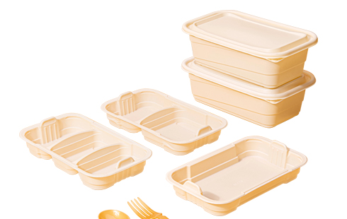 Biodegradable Plastic Take Away Food Container With Lid