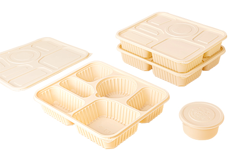 Biodegradable Disposable Plastic Take Away Food Containers With Lids