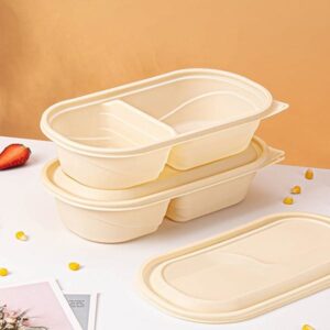 Rectangle Disposable Biodegradable Plastic Food Container With Lid