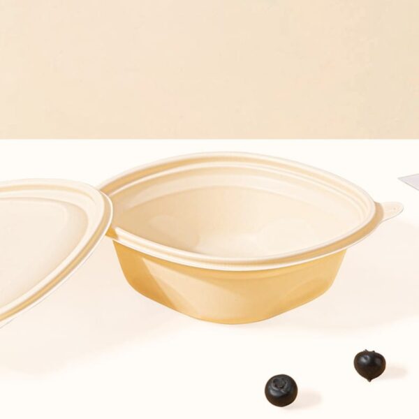 Cornstarch Material Square Biodegradable Food Container