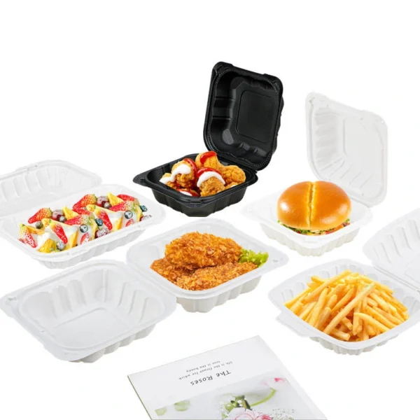 Custom Mfpp Plastic to Go Disposable Box